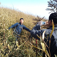 ��Ҥ�ӣ�no no no ���ط��״�����֮��