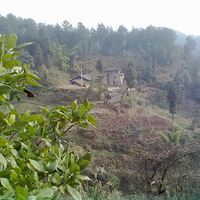 �����������������ʺ�С�����и�����Ӫ��