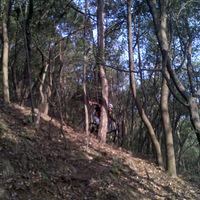 ����С���¼�����ɽ����XC��ˬ!!~~