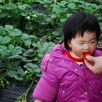 �������౴ɽ��ժ��ݮһ����