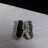 ��ů������������ů����ζ��������ľ�У�