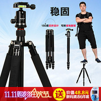 ����֧�ܼ���̨������������ඣ�