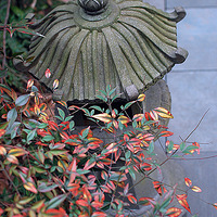 ��̨ɽ������ˮ�ɻ�չ