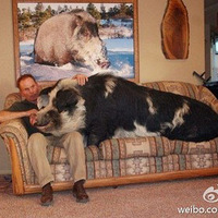 ����������֮��