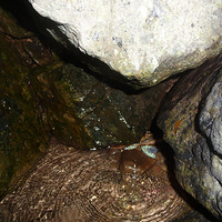 ˭�ܾ��������ӡ��տ���ʲô�ģ���������һ��ȥ�տ�