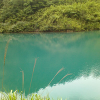 �������в��ó���