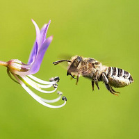 �Һʹ����Լ��