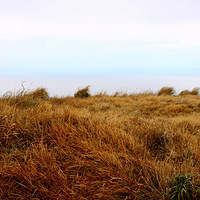 �μǣ�2013����¿��֮�������ľ��ڵ���轣���Ӫɳ̲����! 