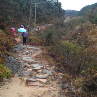 ʮ���ɽ·������ؼ�