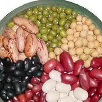 �����������������ô���Ź⡰�ޱ㡱