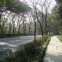 �����г��κ��ݴ���쿴��չ