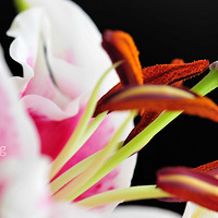 ���졣����we love U