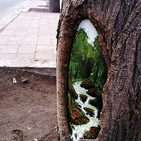 ʯ��ׯŮ��ѧ�������������� Ω��ΩФ����Χ��