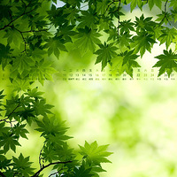 2013��3��������ֽ