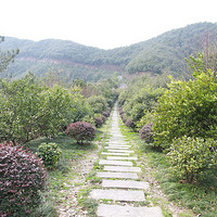 ���˲����ˣ�������ɽ�ĸ��ط����ͽ�Һͷ�