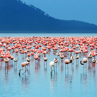 ��Щ׳�۵Ķ����Ǩ��...