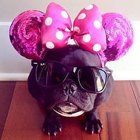 ������ţȮ�����㡱��ʱ������