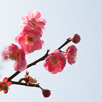 ��������ů��ʱ�򣬹�����˺;������ж��û���ܹ������ˣ���