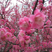 2013����������,3��2���ٰ�(�������)