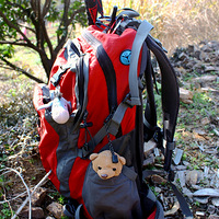 ���Ƭ����ɽ��������ͽ��-������ˮ�Ⱪ�ߣ�