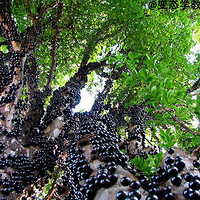 ʥ���޵��ز� ������ ����Ҳ����������ˡ�����