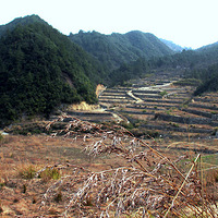 ����ɽ����������·�羰�续  