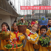 ��һ����У԰�����ӭ����ժ�ˣ�