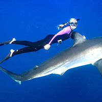 �����㹲�裡