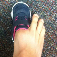 ����һ���ӣ�