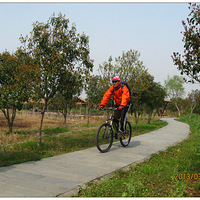  �����С����侺���