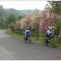 �������ﳵ�����С�