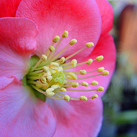 �Ұ������ҵĻ�֮�����Ļ���