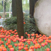 ̫����ɻ�����û