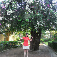 ᭸ۡ������������ŵ䴿��