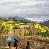 �Լ�����ˮ����