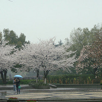 ��������������֮�����е��ڹ�̶