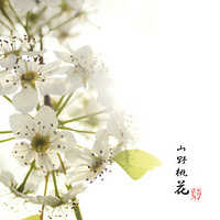 ̫���塢��ĩ��