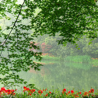 ���������������� �������нǶȵĻ���-����̫����������