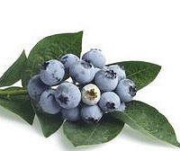 ȫ��������Ӫ��������ˮ�� ��֪����