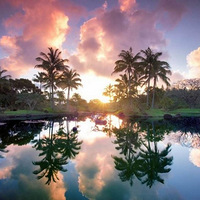 ȫ������ֲ��԰