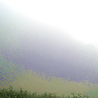 ��Ⱥ������