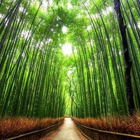 �˼��ɾ���������ʮ����������������