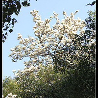 ���ν����