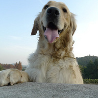 ���ǵ�����--��ëȮ