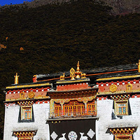 �����Ƕ���Ҫ���ξ�����ܣ�����