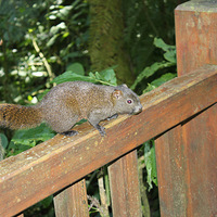 ������̨���Σ�ż��һֻС����