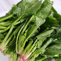 15��ʳ���ͯ���˳��Զ��