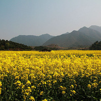 ͩ®�⻨������ֵ��һ��