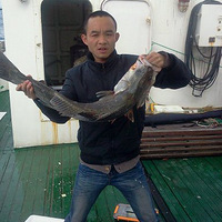 2013���󰰴󽸺���������� ������ ����