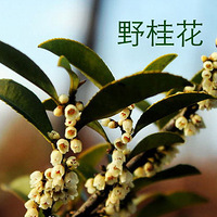 ����ǹ���